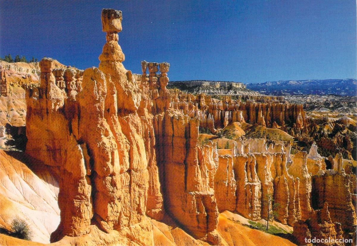 Postales: Postal de Bryce Canyon Parque Nacional de Utah EE. UU.