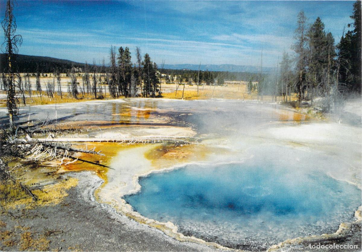 Postales: Postal del Parque Nacional de Yellowstone en Wyoming, EE. UU.