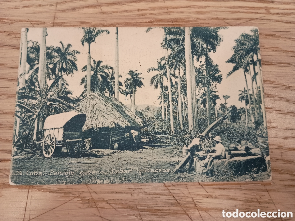 Postales: CUBA - PAISAJE CUBANO