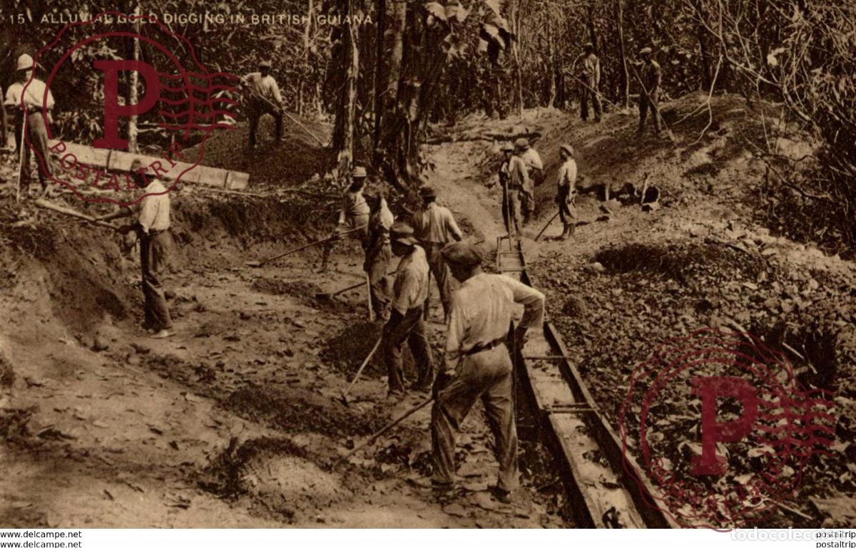 Postales: british guiana, Alluvial Gold Digging, Placer Washing, Port Knocker BRITISH GUIANA GUYANE BRITANNIQ