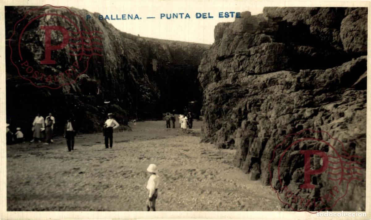 Postales: URUGUAY. P. BALLENA. PUNTA DEL ESTE. RPPC FOTOGRAFICA