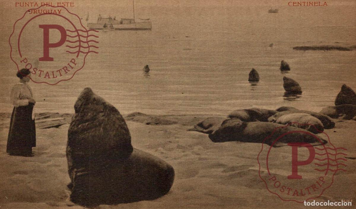 Postales: URUGUAY. PUNTA DEL ESTE. CENTINELA