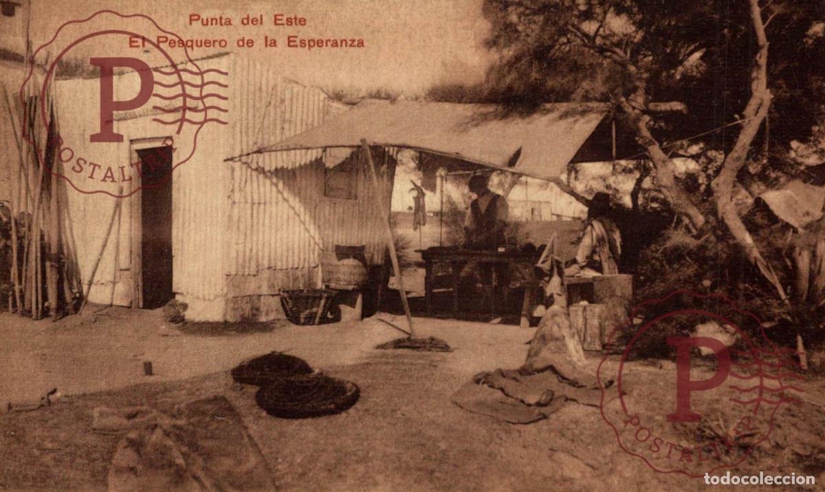 Postales: URUGUAY. PUNTA DEL ESTE. EL PESQUERO DE LA ESPERANZA.