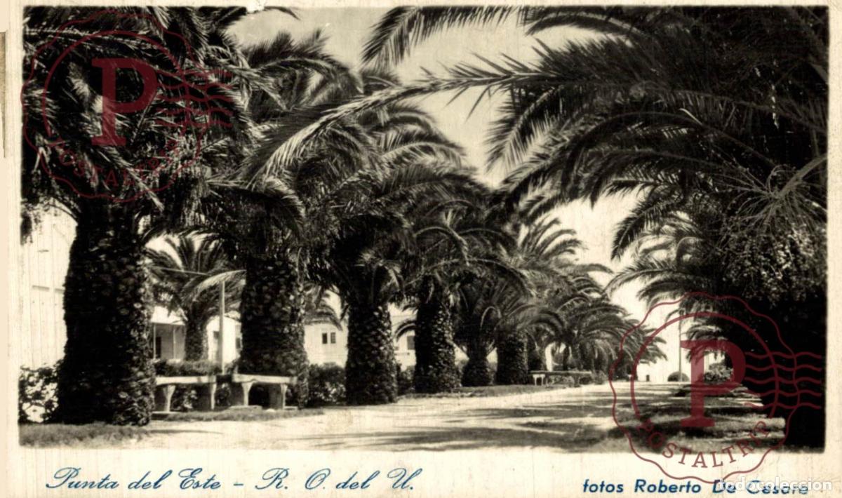 Postales: URUGUAY. PUNTA DEL ESTE. FOTOS ROBERTO DE CESARE. RPPC FOTOGRAFICA