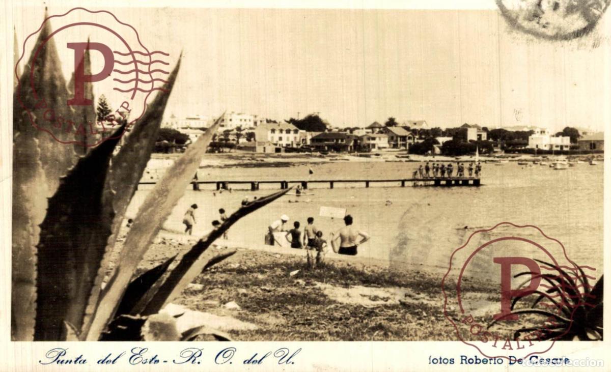 Postales: URUGUAY. PUNTA DEL ESTE. FOTOS ROBERTO DE CESARE. RPPC FOTOGRAFICA
