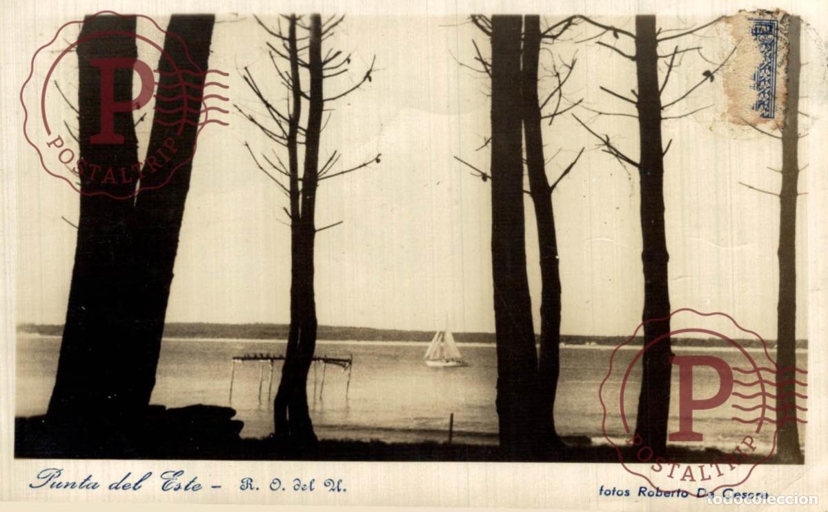 Postales: URUGUAY. PUNTA DEL ESTE. FOTOS ROBERTO DE CESARE. RPPC FOTOGRAFICA