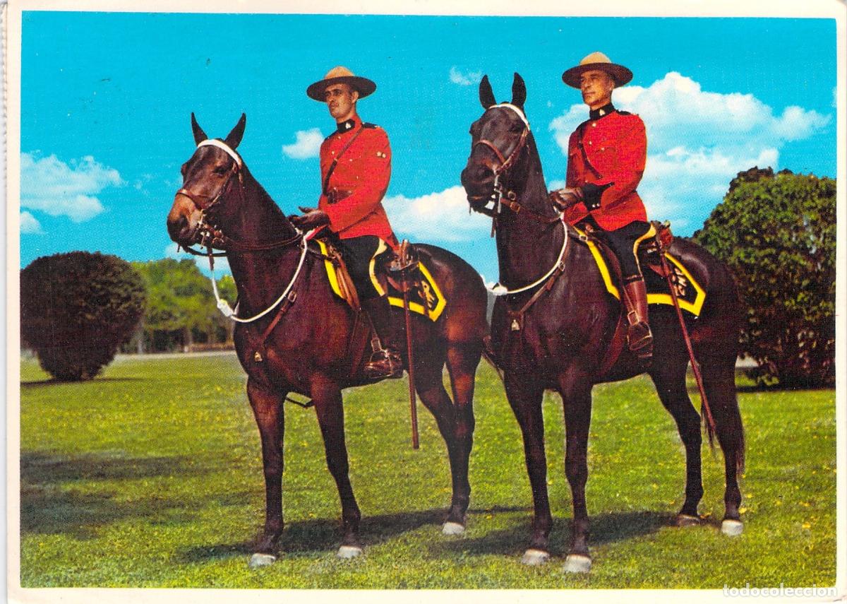 Postales: Postal de la Polic&iacute;a Montada del Canad&aacute; con Uniforme Rojo a Caballo