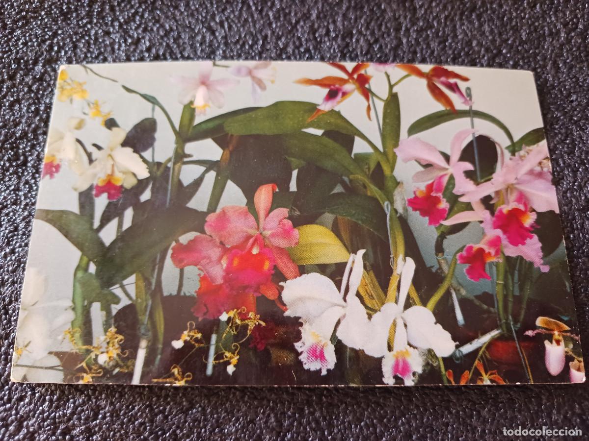 Postales: soroa, cuba, el paraiso encontrado, orquideas, rancho pilila