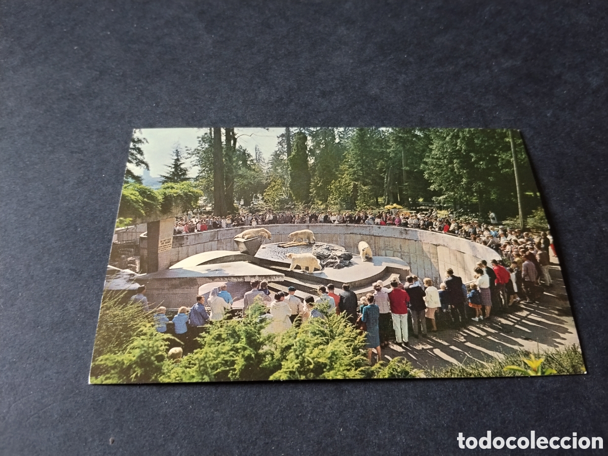 Postales: Postal polar bears Stanley Park, Vancouver Canad&aacute;