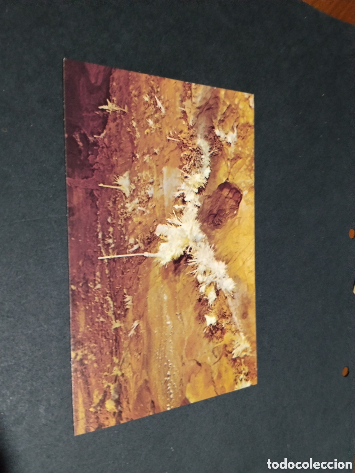 Postales: Postal Greetigns from Skyline caverne