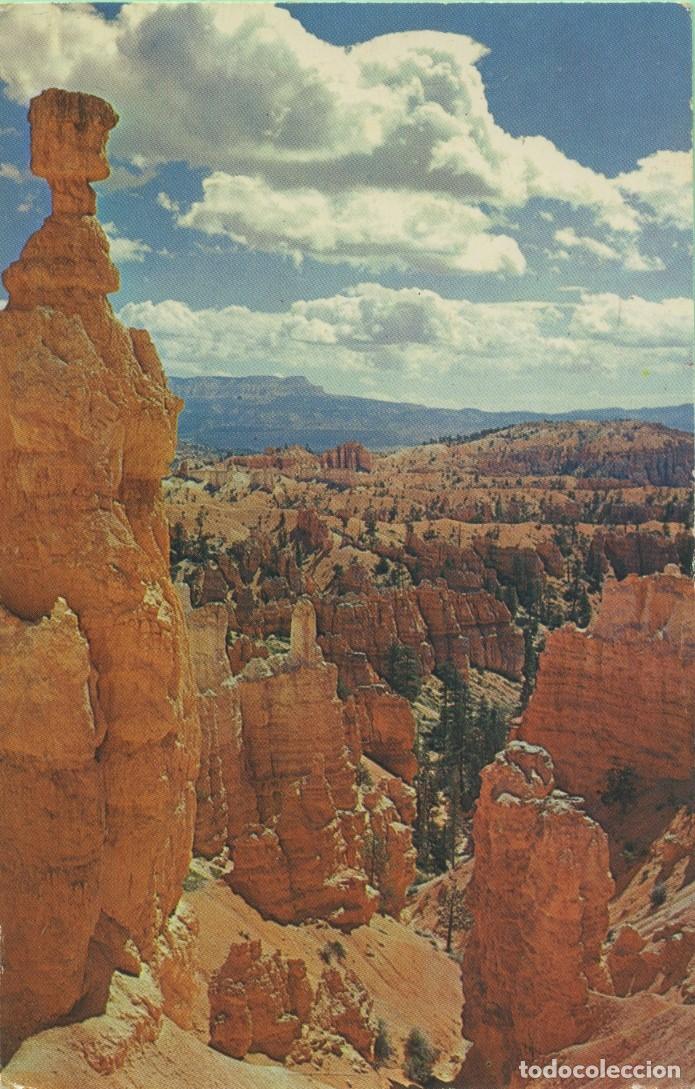 Postales: El martillo de Thor. Parque Nacional Bryce Canyon. UTAH. EE.UU. Sin circular. ED. PLASTICHROME