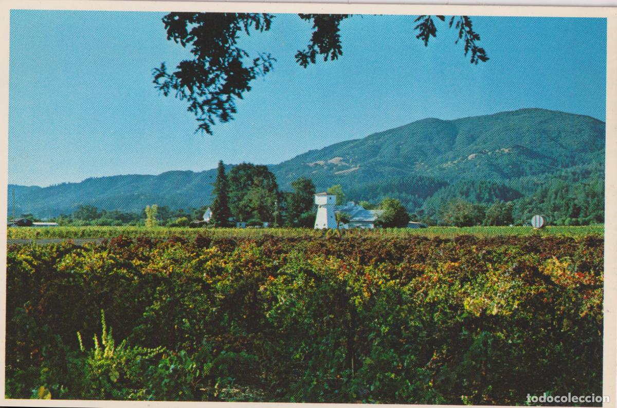 Postales: NORTE DE CALIFORNIA, VI&Ntilde;EDOS DEL VALLE DE NAPA - PHOTO A.W. ANDERSON - S/C