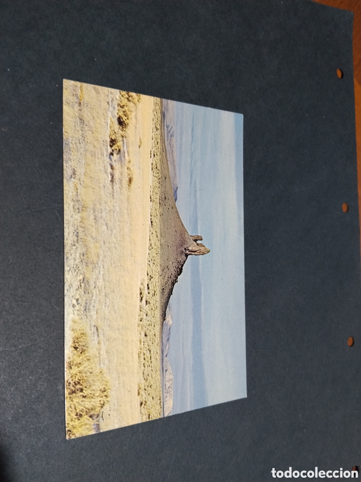 Postales: Postal boars tusk, Wyoming