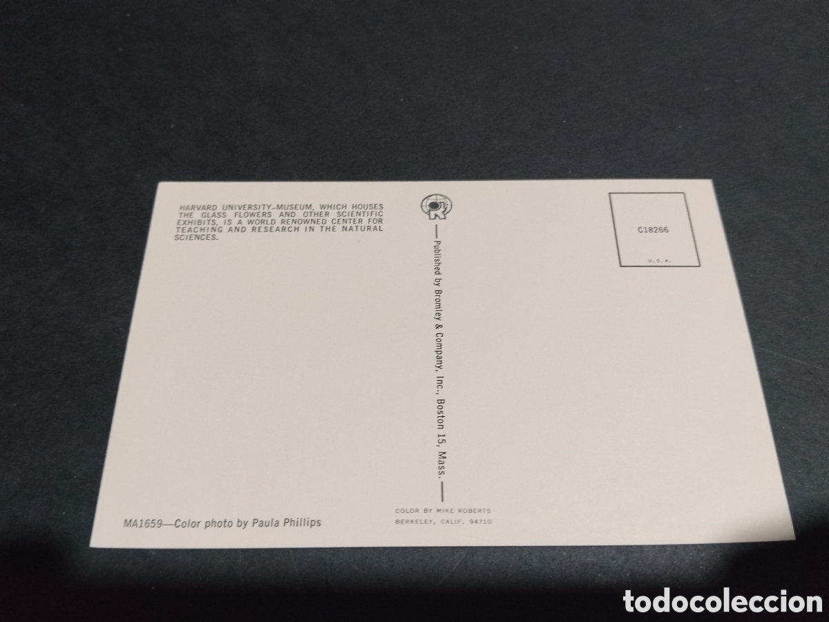 Postales: Postal universidad de Harvard Museo - Foto 2