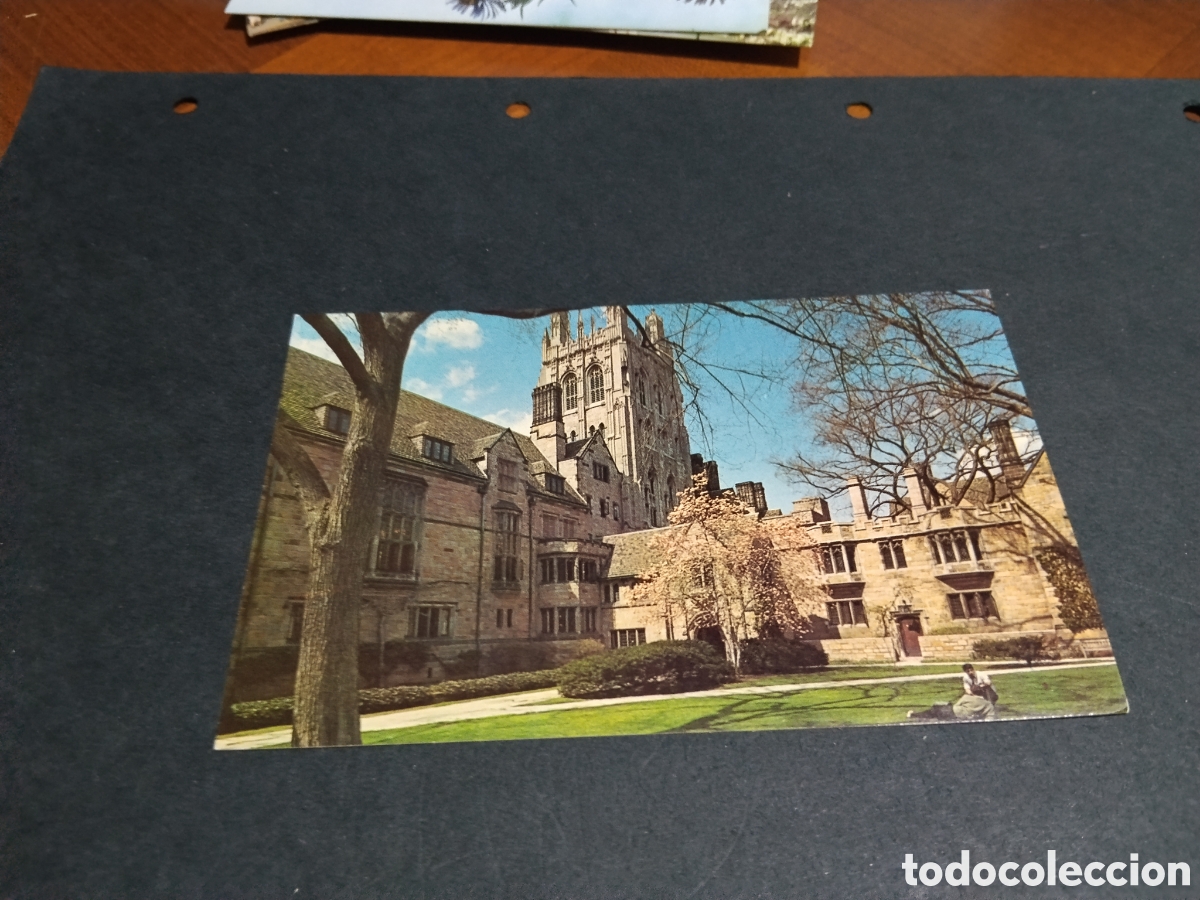 Postales: Postal universidad de Yale EEUU