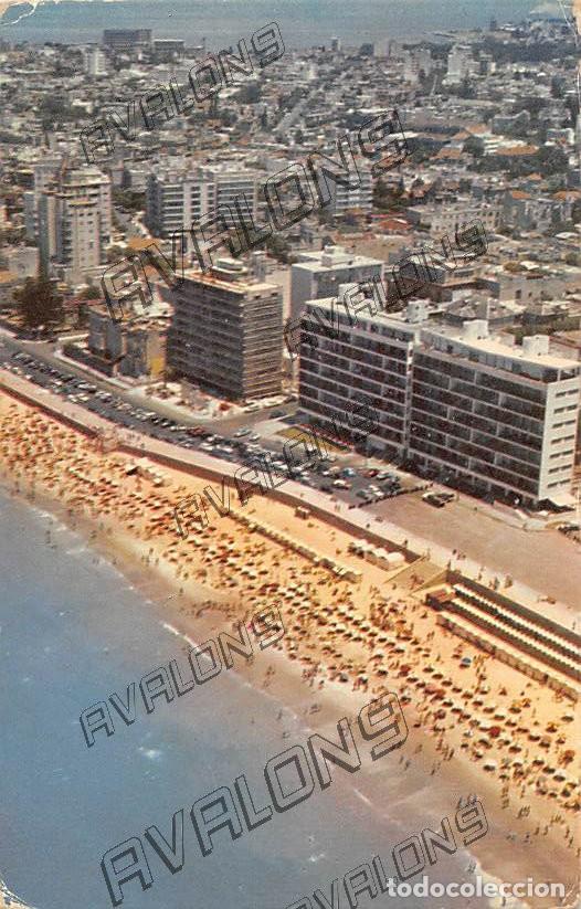 Postales: Vista Parcial de Playa Pocitos en Montevideo (Urugay) , Sin ciruclar, a&ntilde;os 60