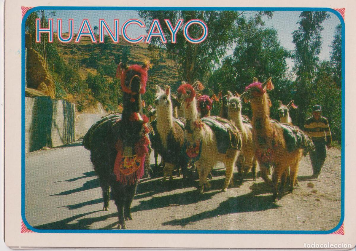 Postales: PERU, HUANCAYO, RECUA DE LLAMAS &ndash; FOTO: E.EISMANN &ndash; ESCRITA