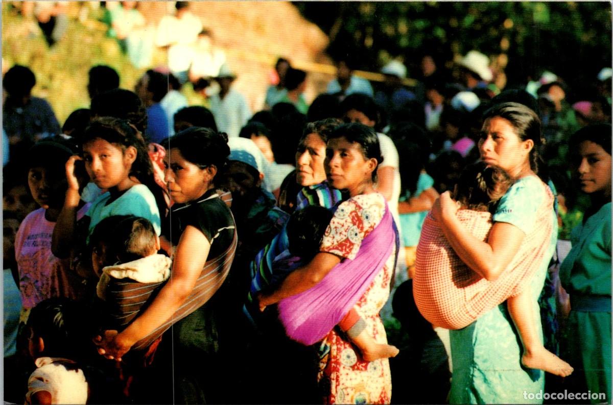 Postales: M&eacute;xico - Tierra y Libertad - Colectivo de Solidaridad con la Rebeli&oacute;n Zapatista- Postal Recaudatoria