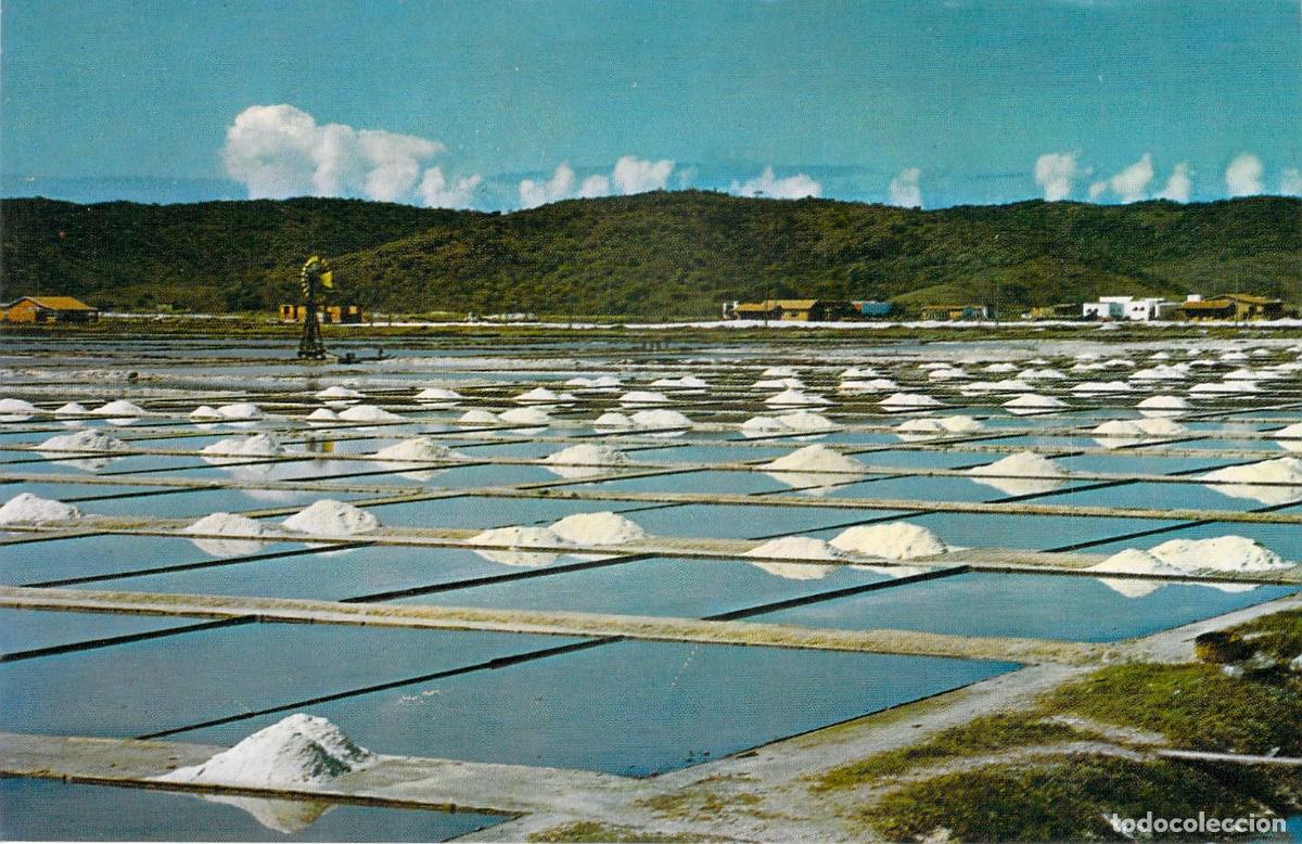 Postales: Postal de Salinas en Cabo Frio Brasil