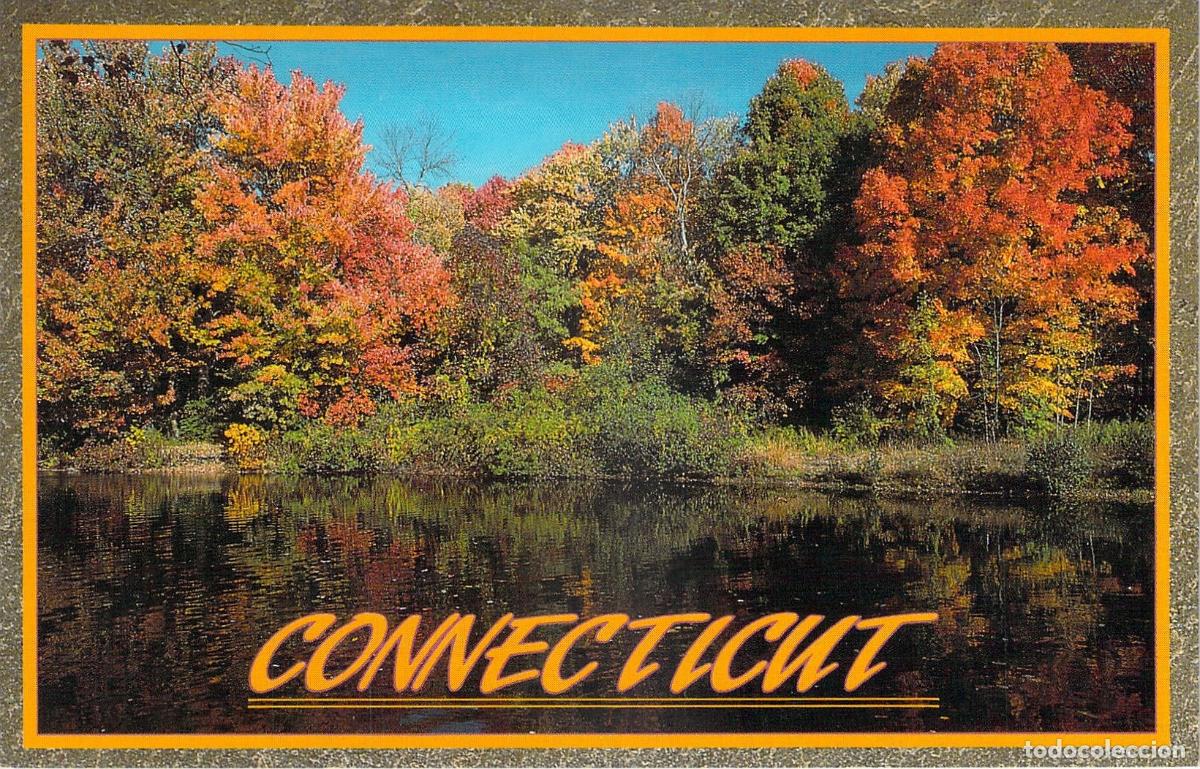 Postales: Postal de follaje oto&ntilde;al en Connecticut