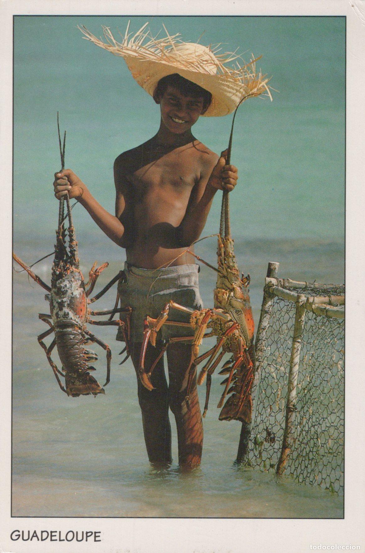 Postales: Guadeloupe Guadeloupe Dod Jeune P&ecirc;cheur Langoustes Sc&egrave;ne Tropicale *YAA944