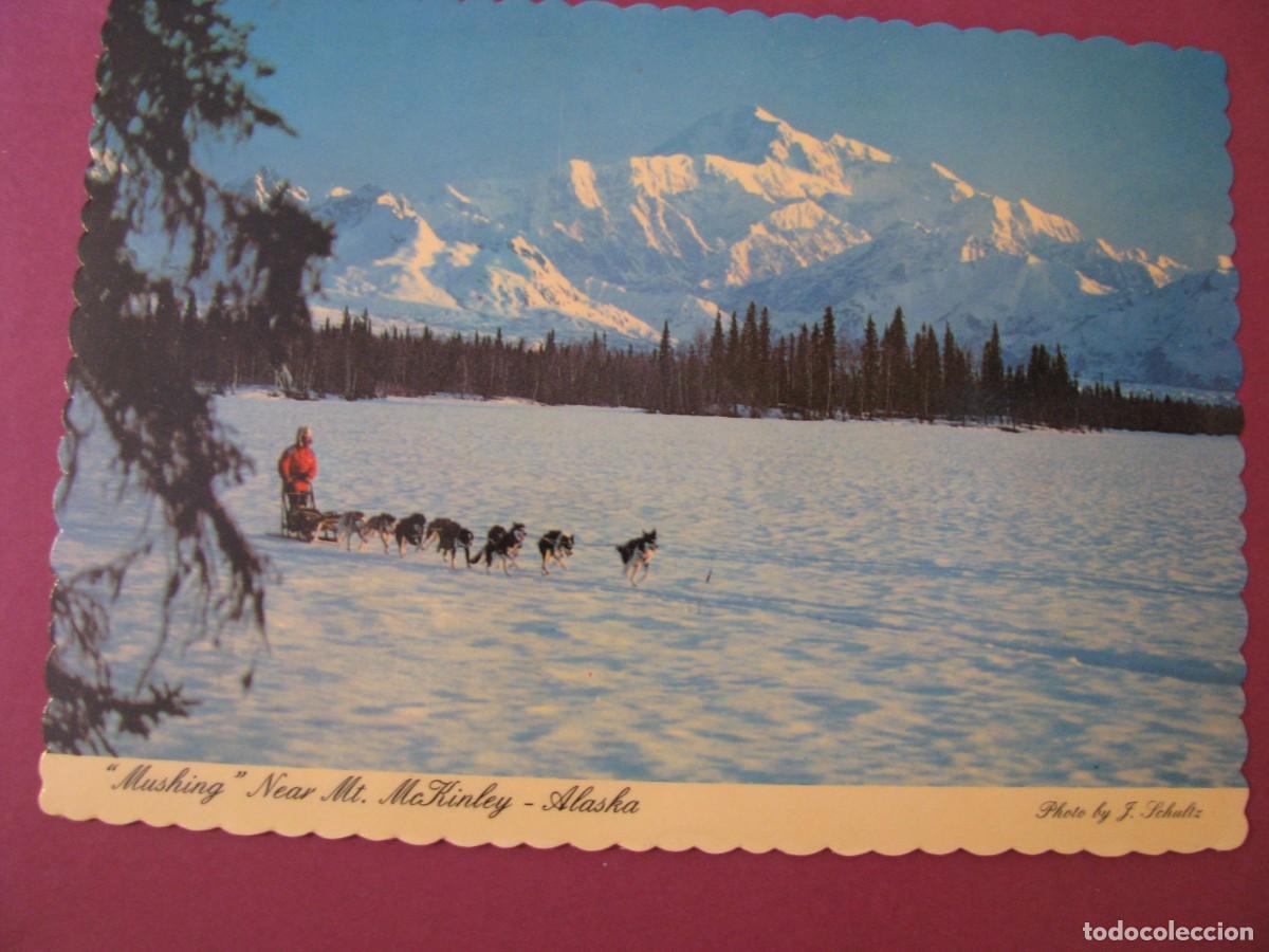 Postales: POSTAL DE EE.UU. ALASKA.