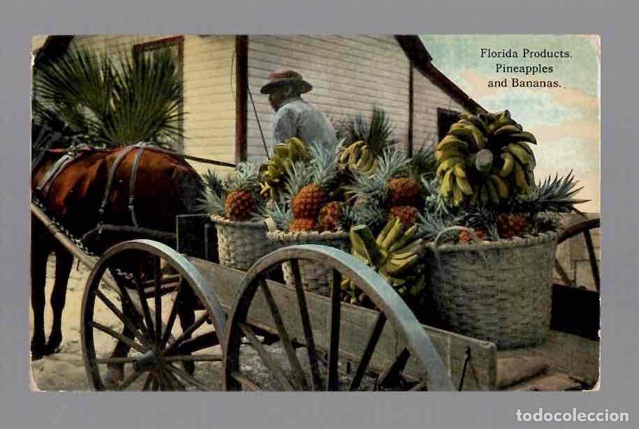 Postales: TARJETA POSTAL FLORIDA PRODUCTS PINEAPPLES AND BANANAS. FLORIDA ARTISTIC SERIES