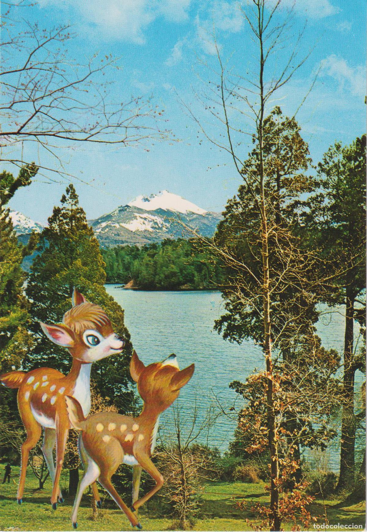 Postales: SAN CARLOS DE BARILOCHE (ARGENTINA) ISLA VICTORIA &ndash; POSTALES IBERIA 24 - ESCRITA