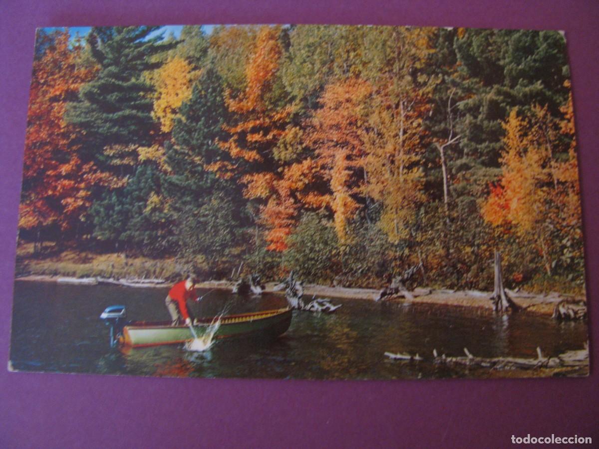 Postales: POSTAL DE EE.UU. OTO&Ntilde;O, LAGO, PESCADOR.