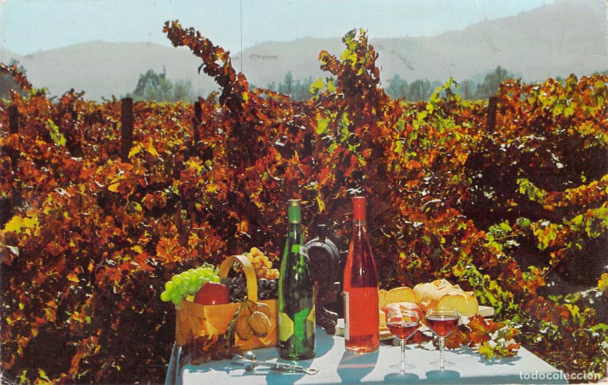 Postales: Postal de picnic con vino en los vi&ntilde;edos de California