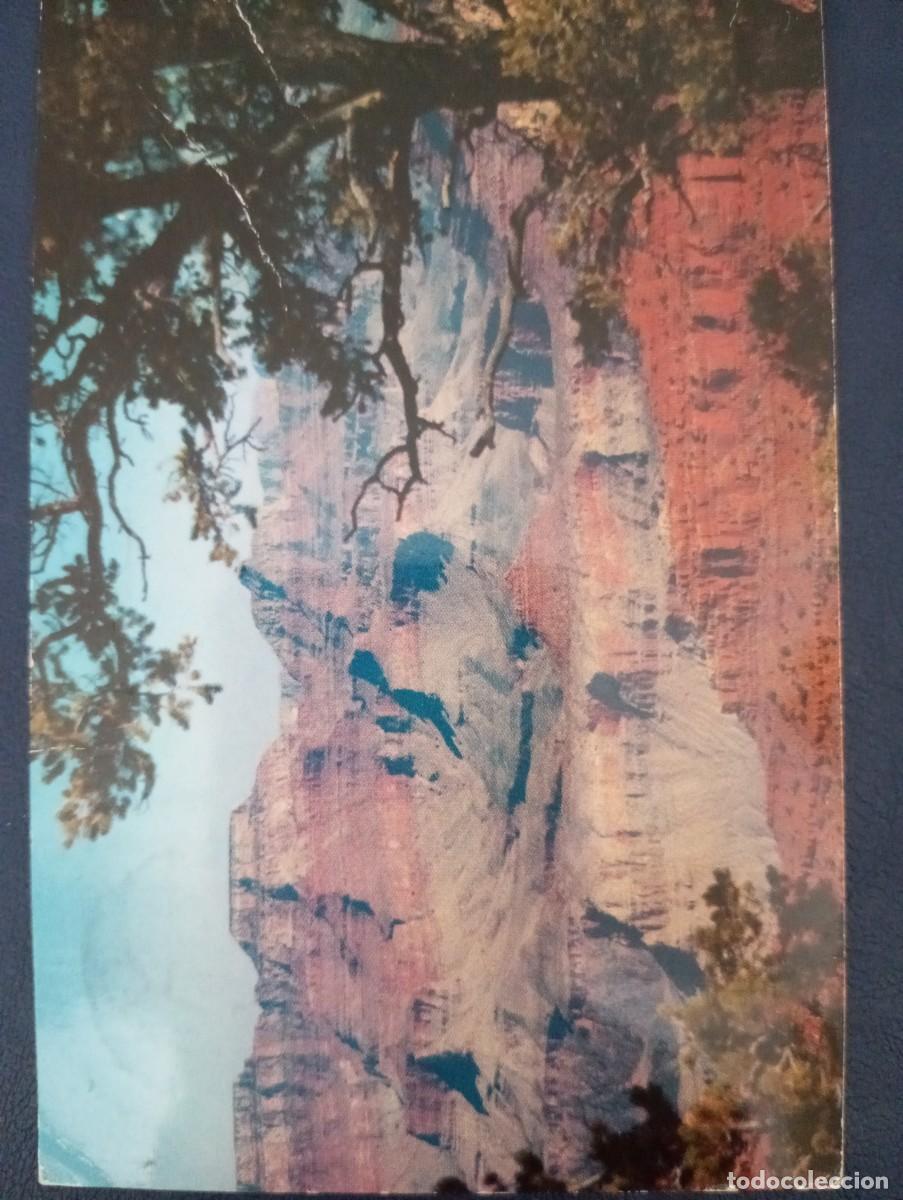 Postales: POSTAL DE USA CIRCULADA EN POLONIA. GRAN CA&Ntilde;OS, NORTE DE ARIZONA