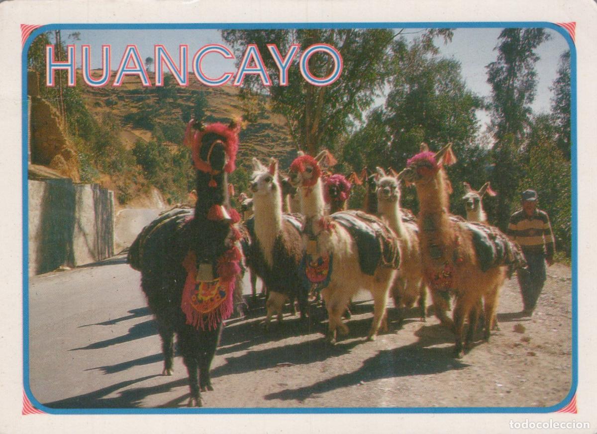 Postales: Peru Huancayo Per&uacute; Reba&ntilde;o de Llamas Decoradas Y Pastor Escena Andina *YAF779