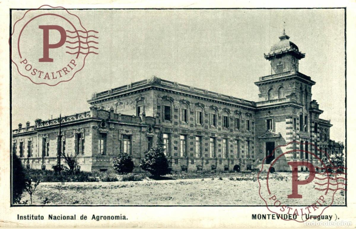 Postkarten: URUGUAY. MONTEVIDEO. INSTITUTO NACIONAL DE AGRONOMIA