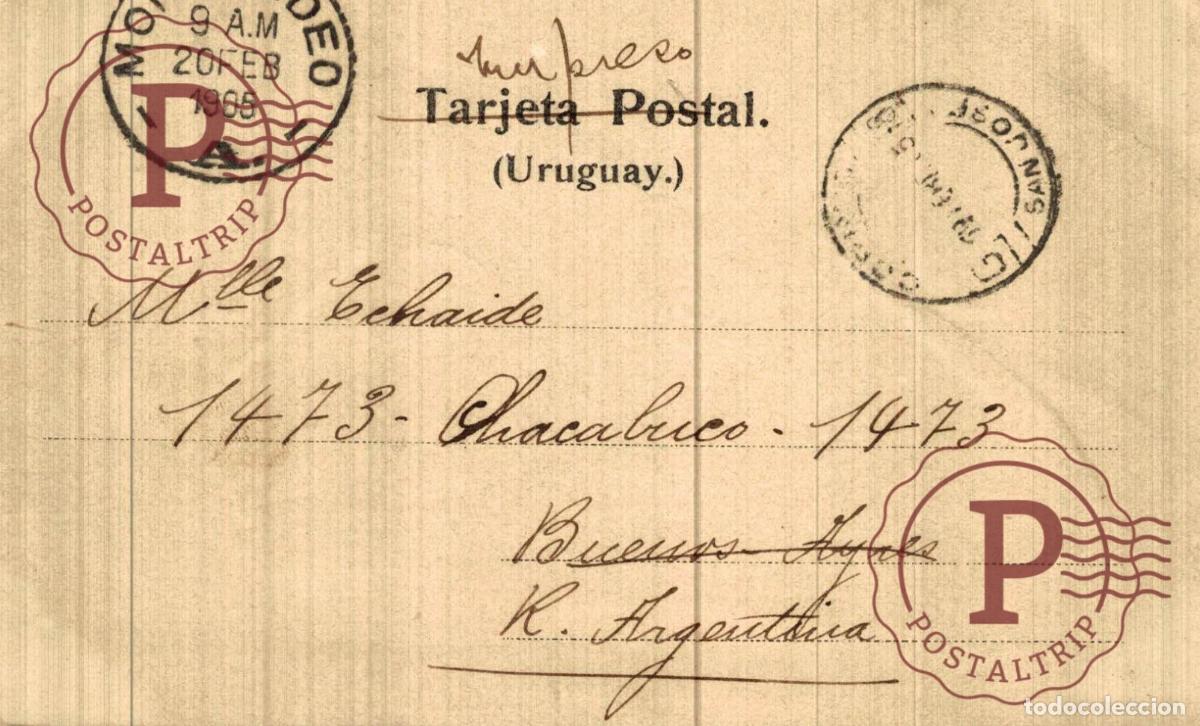 Postales: URUGUAY. PALMERAS. COLON. - Foto 2