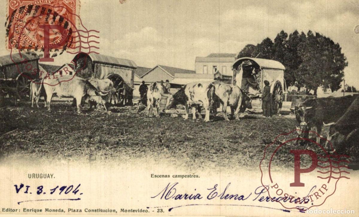 Postales: URUGUAY. ESCENAS CAMPESTRES.
