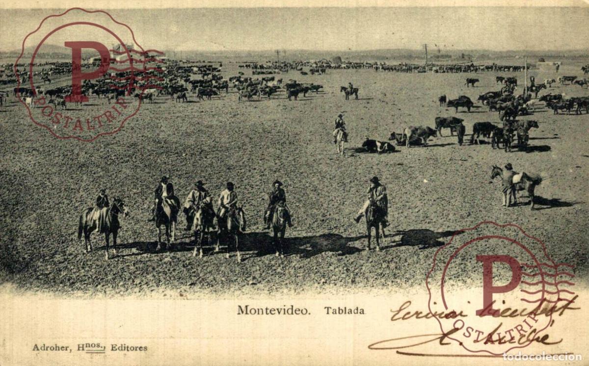 Postales: URUGUAY. MONTEVIDEO. TABLADA.