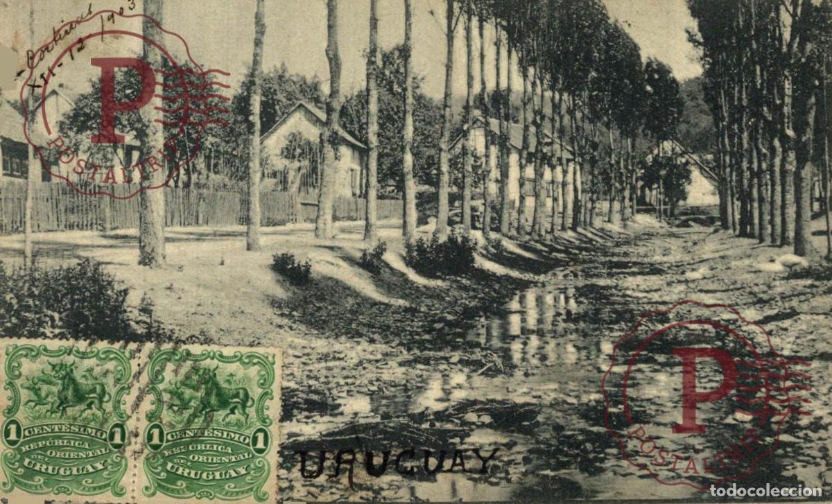 Postales: Uruguay 1903: San Jos&eacute; Cortinas. Ed. Raphael Tuck S&eacute;rie 180