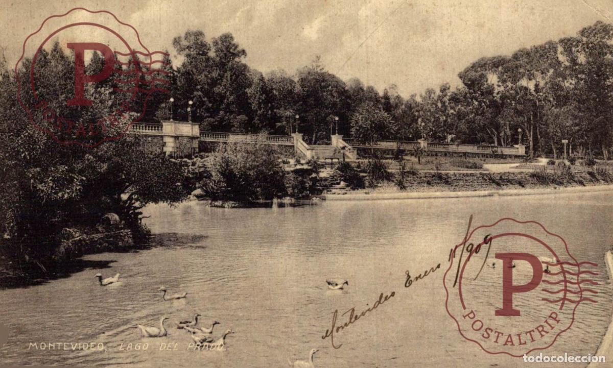 Postales: URUGUAY. MONTEVIDEO. LAGO DEL PRADO.