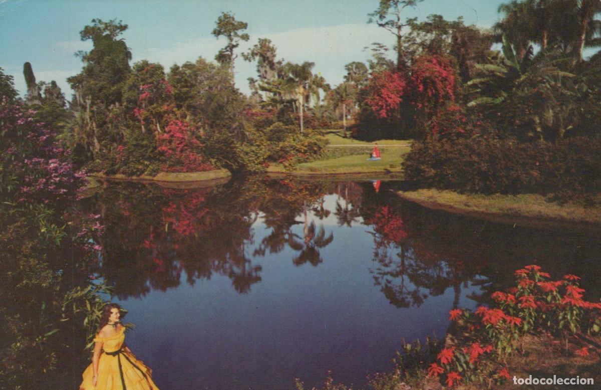 Cartes Postales: USA Florida Cypress Gardens Blossom Time Tropical Lake *YAK241