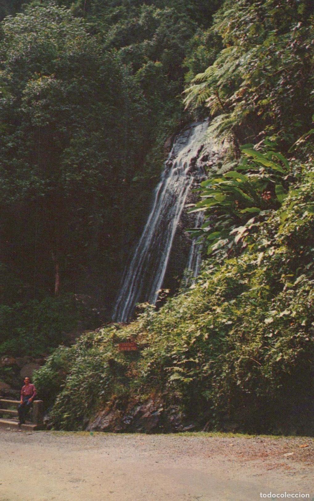 Postais: Puerto Rico El Yunque Coca Falls Tropical Landscape *YAK179