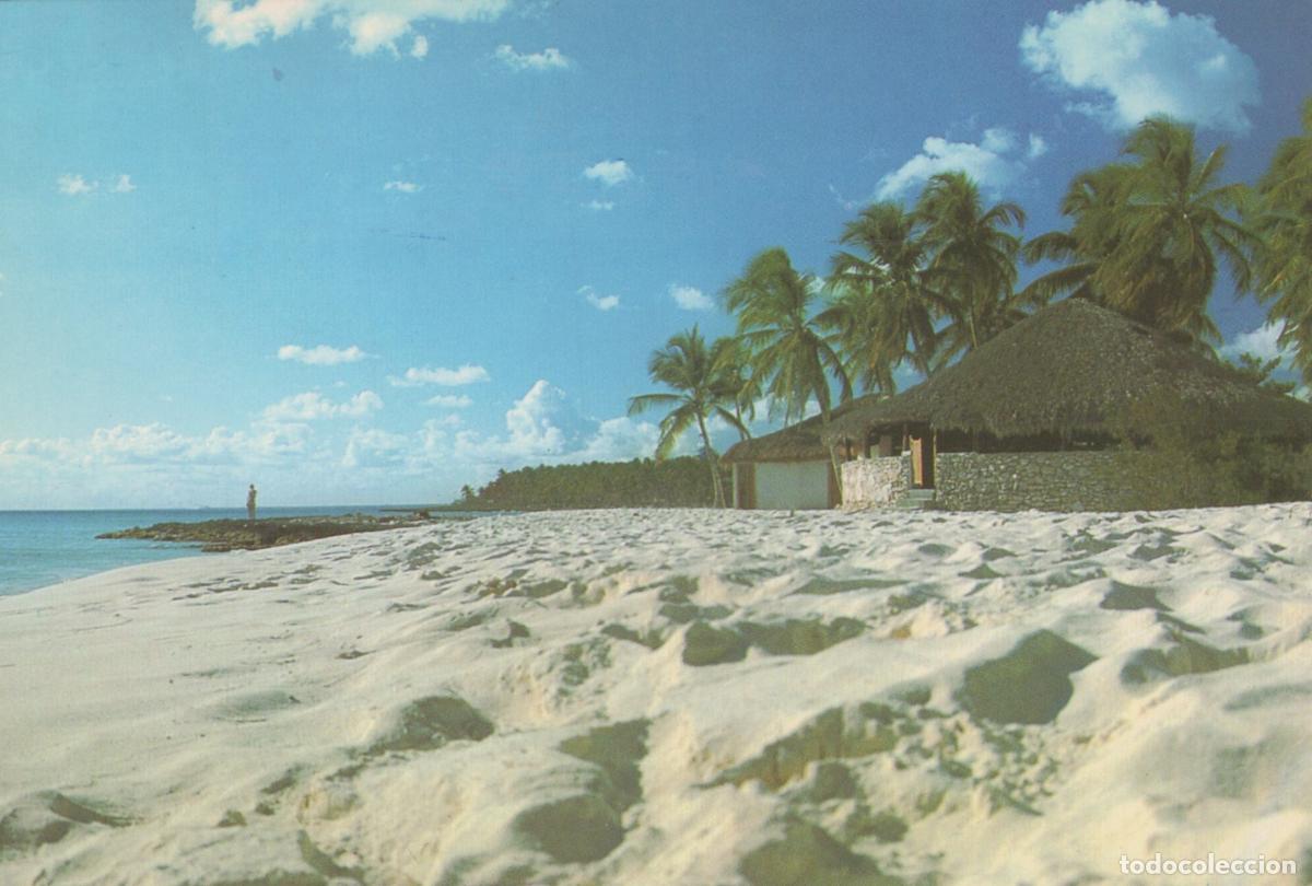 Postales: Dominican Republic La Romana Club Dominicus Beach Palm Trees Unposted *YAM691
