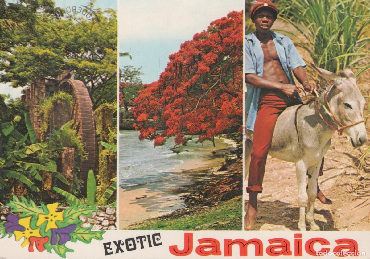 Postales: Jamaica Kingston Exotic Collage Water Wheel Beach Man On Donkey 1990s *YAR669