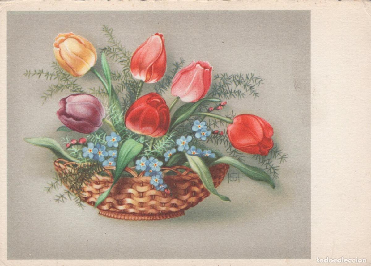 Postales: USA A Basket of Colorful Tulips and Forget Me Nots Unposted *YAT069