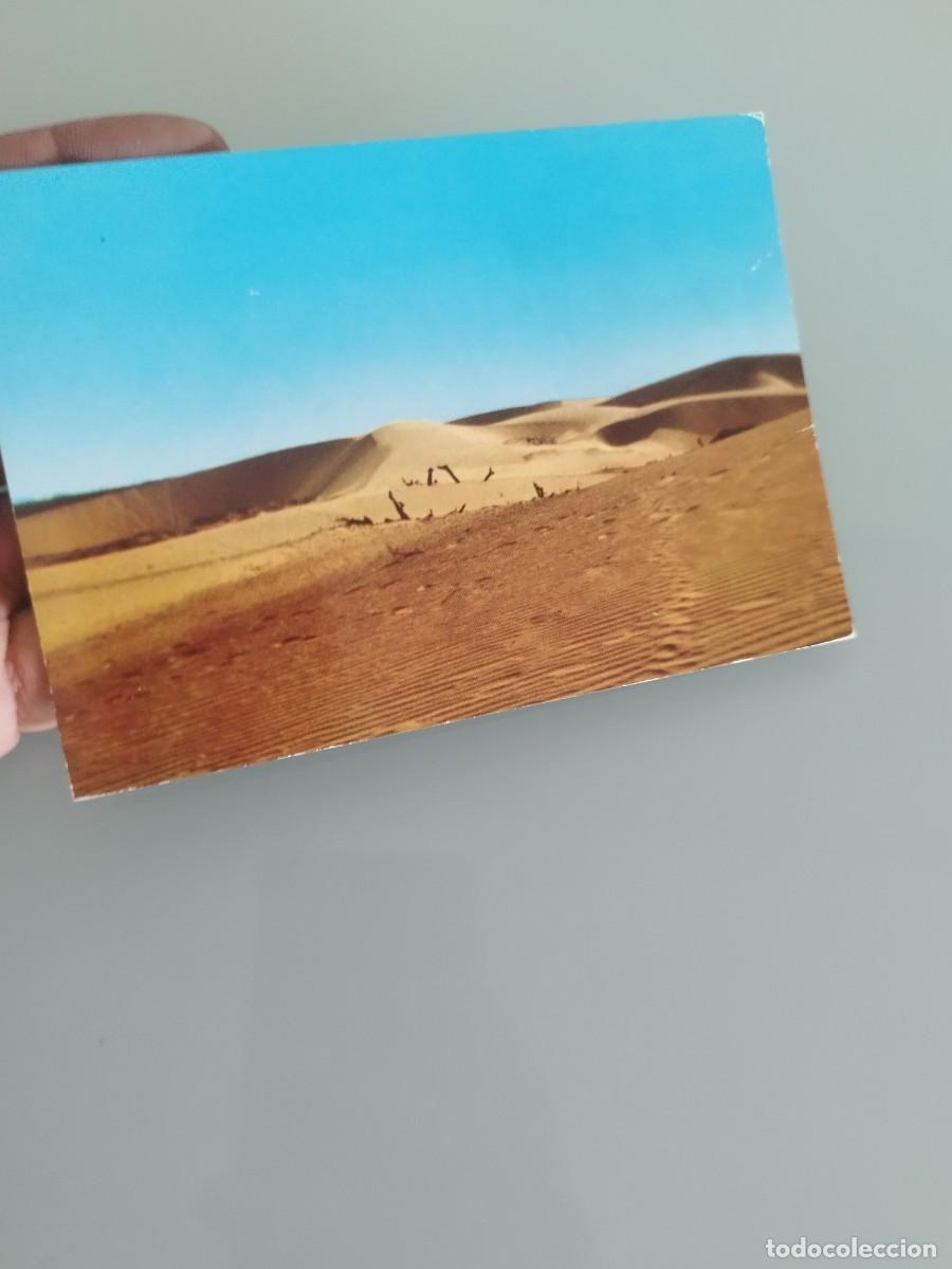 Postales: Tarjeta postal Los M&eacute;danos de Coro, Estado Falc&oacute;n, Venezuela.