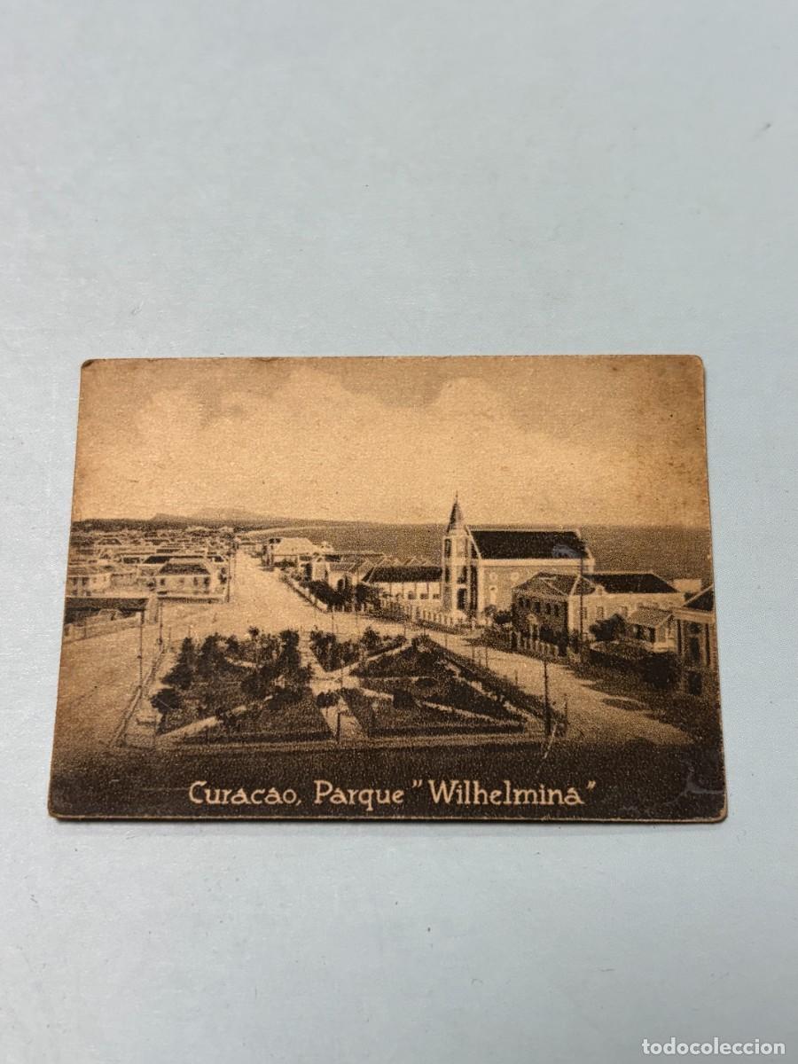 Postales: POSTAL ORIGINAL. D&Eacute;CADA A&Ntilde;OS 30. CURACAO. PARQUE WILHELMINA. N&ordm; 1573