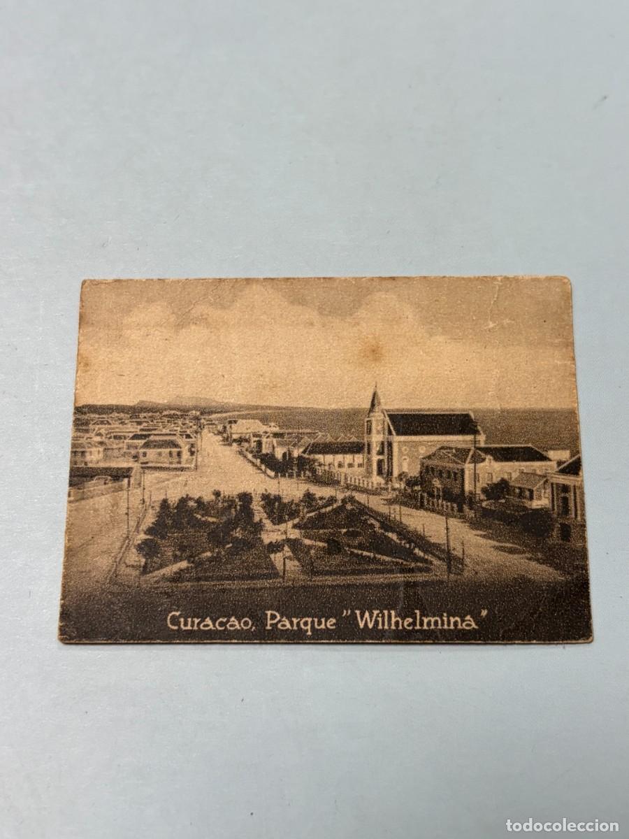 Cartes Postales: POSTAL ORIGINAL. D&Eacute;CADA A&Ntilde;OS 30. CURACAO. PARQUE WILHELMINA. N&ordm; 1573