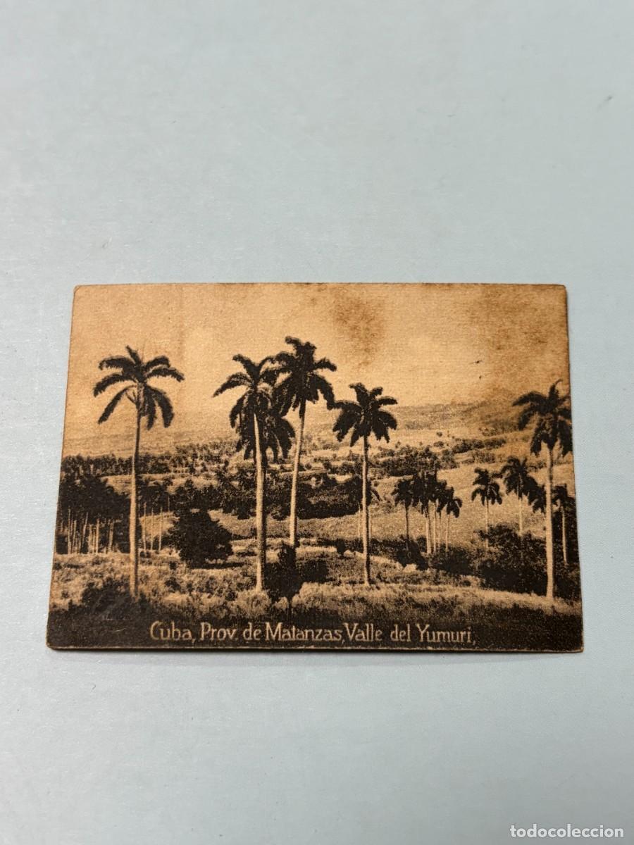 Postales: POSTAL ORIGINAL. D&Eacute;CADA A&Ntilde;OS 30. CUBA. MATANZAS. VALLE DEL YUMURI. N&ordm; 1509