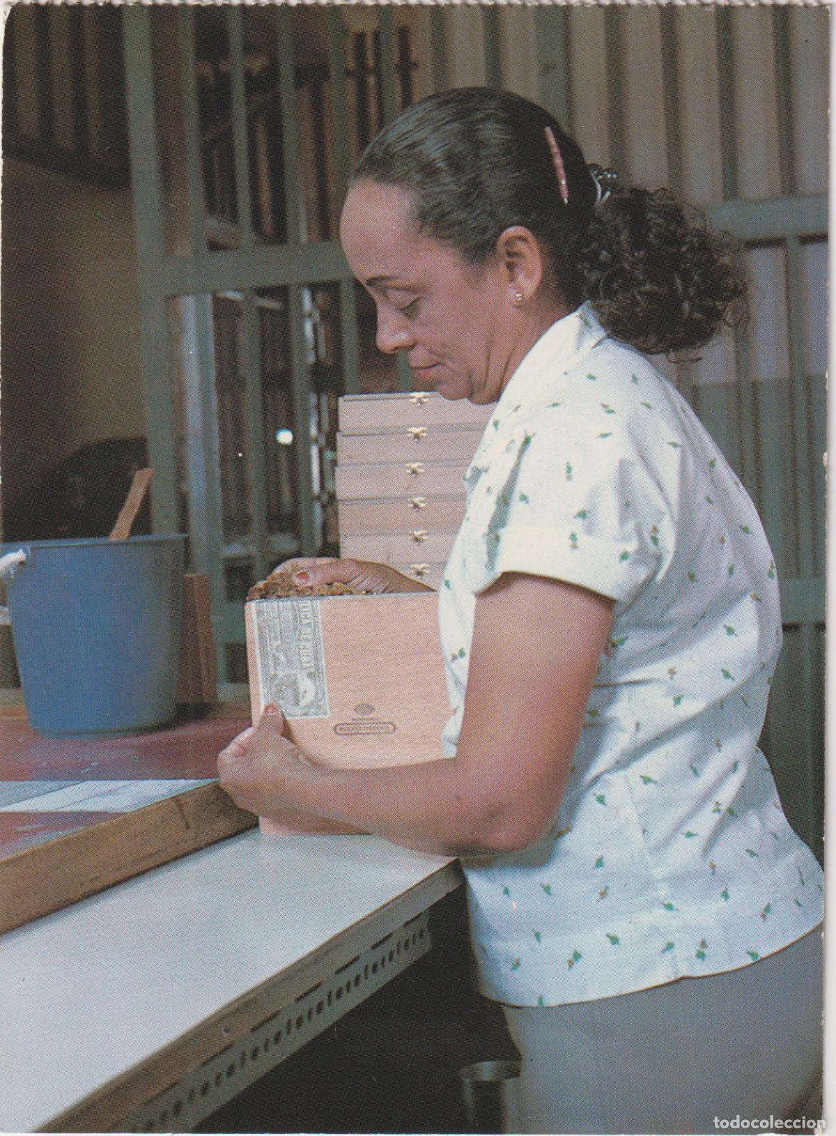 Postales: CUBA, TRABAJADORA EN UNA F&Aacute;BRICA DE TABACO. ORGANIZANDO PUROS EN UNA CAJA DE MADERA &ndash; S/C