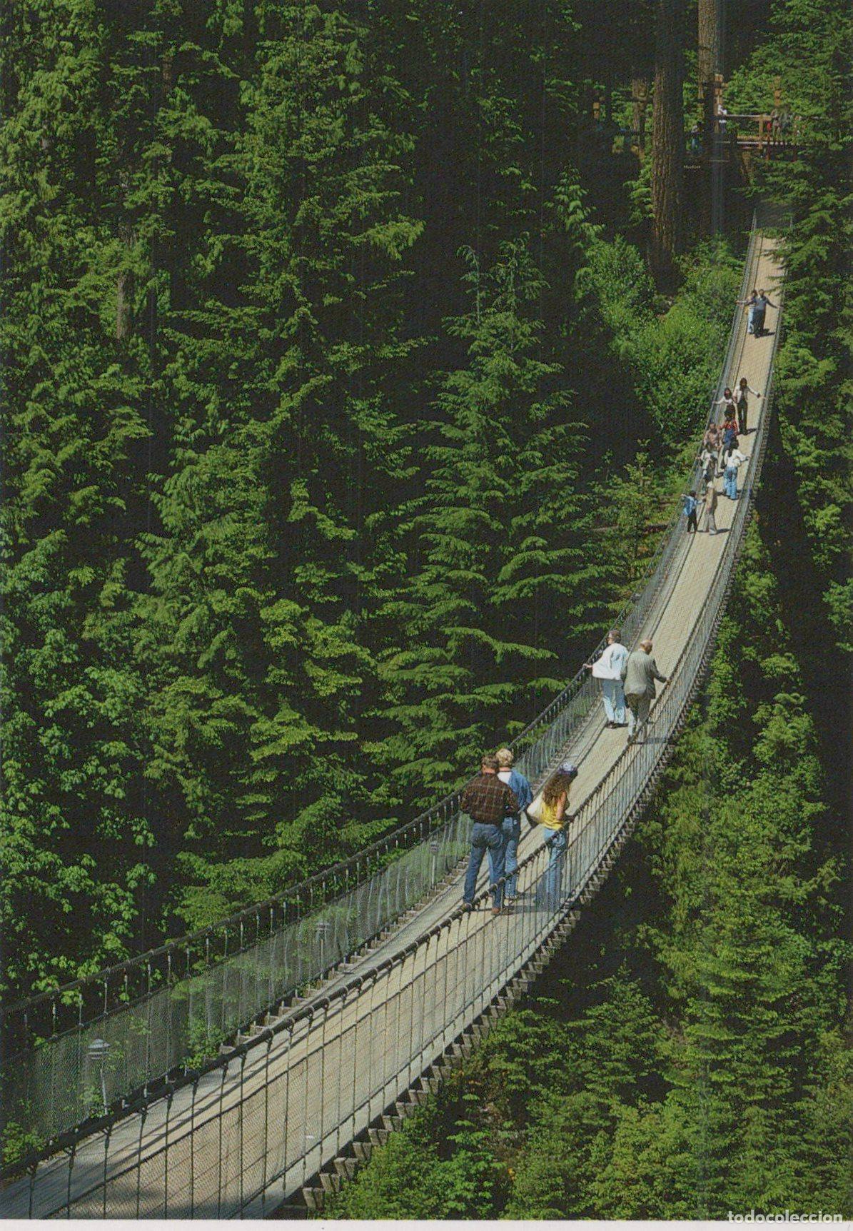 Postales: Canada Vancouver Capilano Suspension Bridge 230 Feet Above Unposted *YAX988