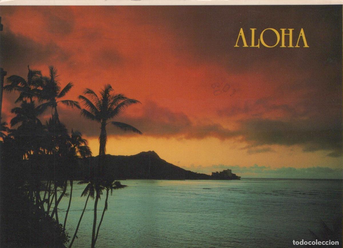 Postales: USA Honolulu Diamond Head Waikiki Sunset Palm Trees Ocean View *YAY521